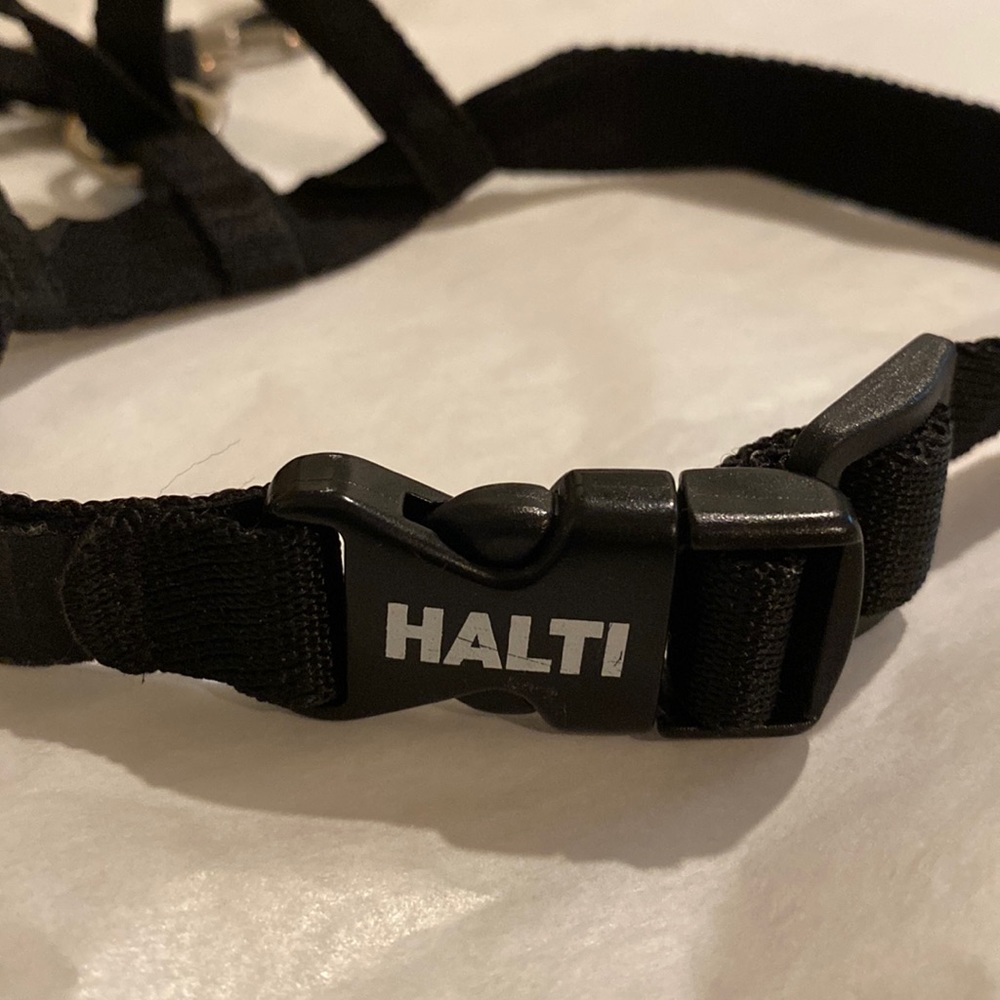 Halti Head Harness black